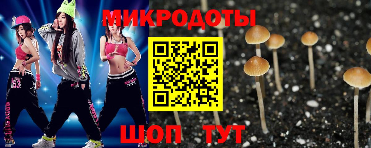 Балашиха  Галлюциногенные грибы Cubensis  Галлюциногенные грибы прущие грибы  Вход с VPN 